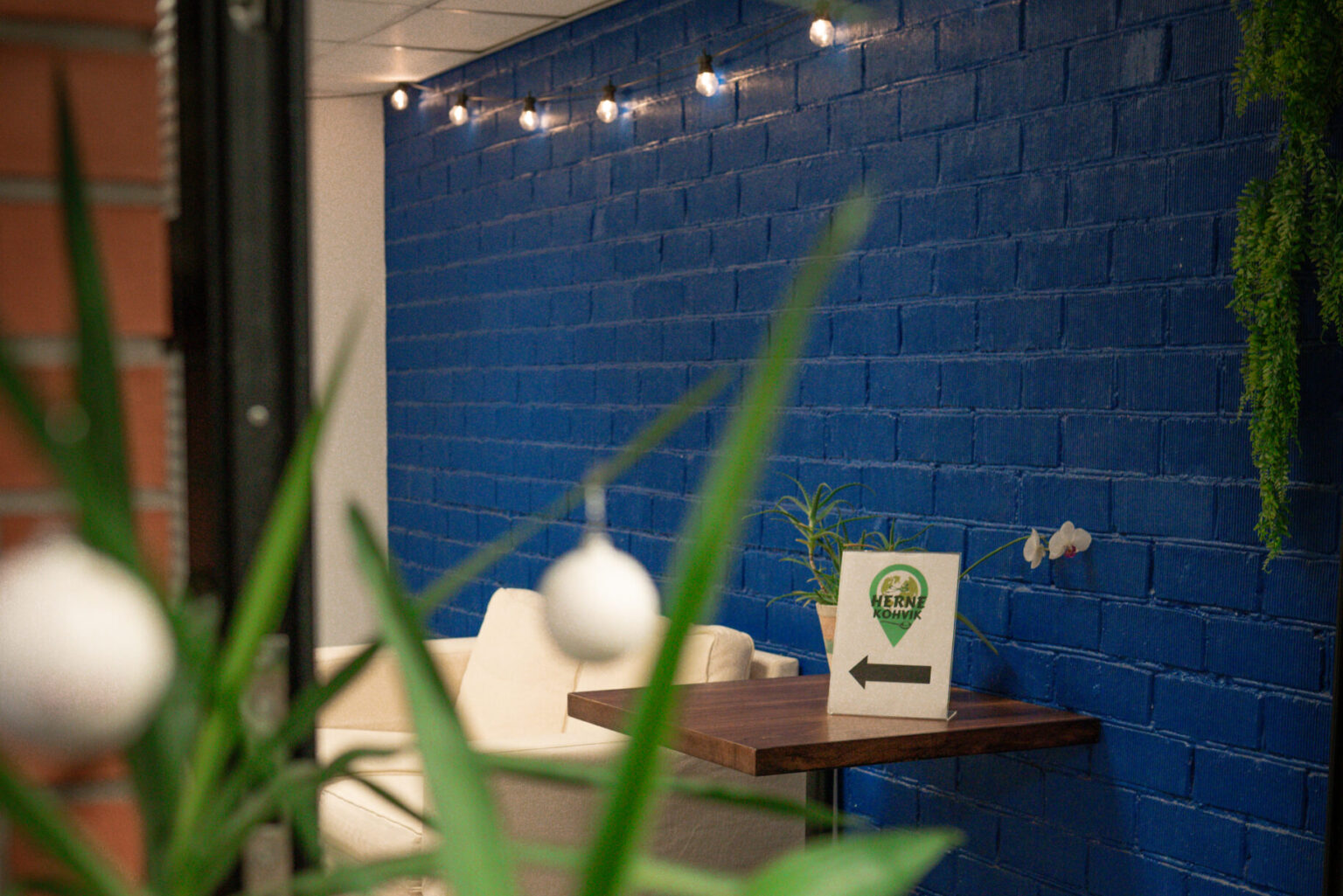 Vaade Herne Kohviku sissepääsule TalTech Spordiklubi fuajeest